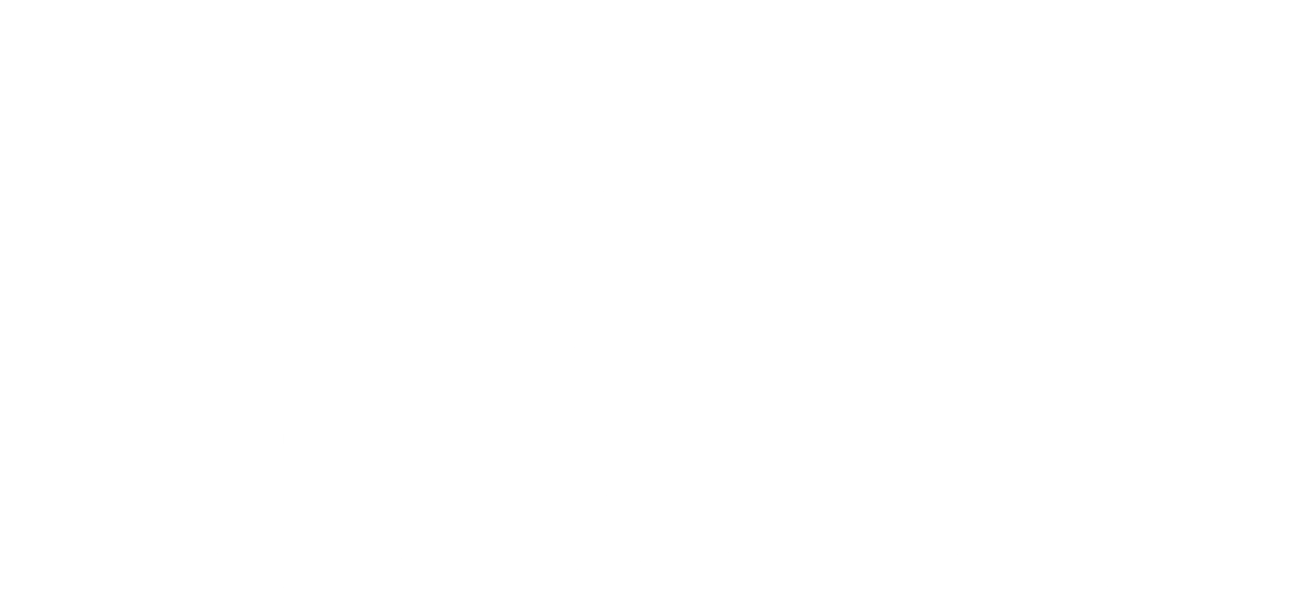PF - Pietro Fernandes - Logo - Branco